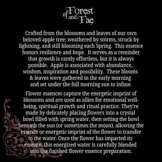 Growth & Possibility • Apple Blossom & Leaf Flower Essence