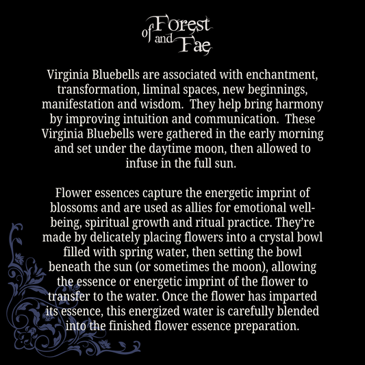 Manifestation • Bluebell Flower Essence