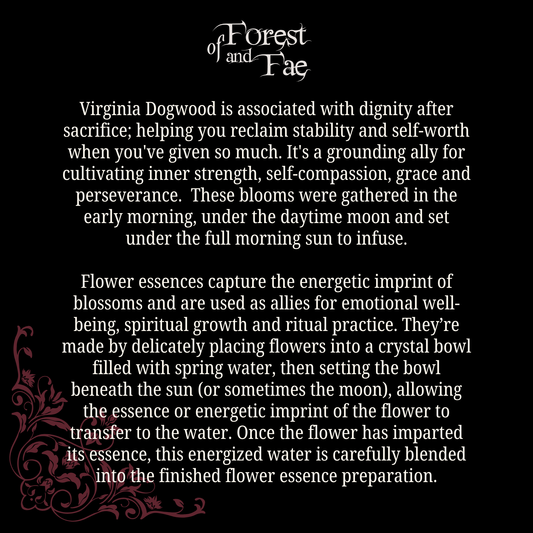 Self-Worth • Virginia Dogwood Flower Essence