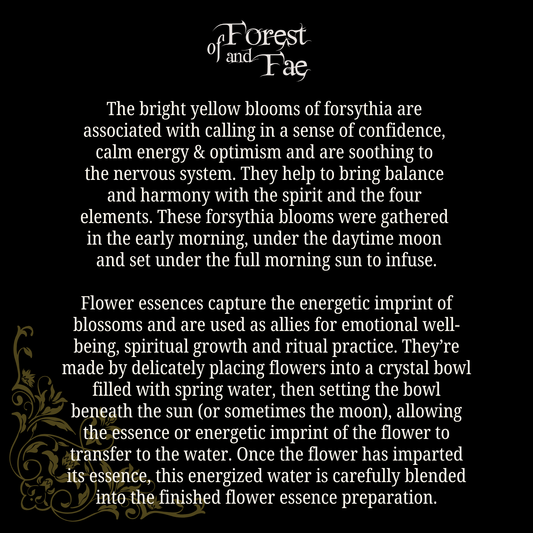 Optimism • Forsythia Flower Essence