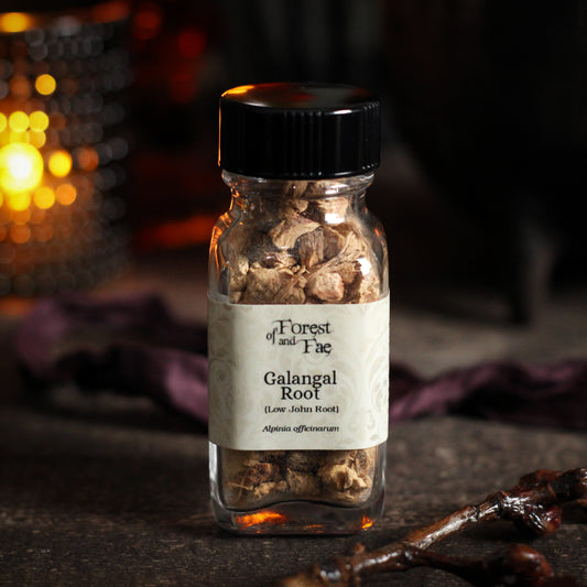 Galangal Root - Low John Root • Protection Prosperity
