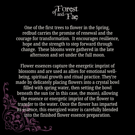 Resilience • Redbud Flower Essence
