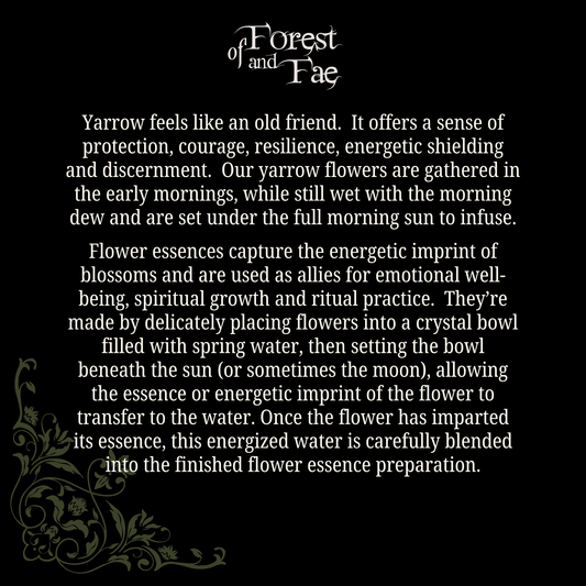 Protection • Yarrow Flower Essence
