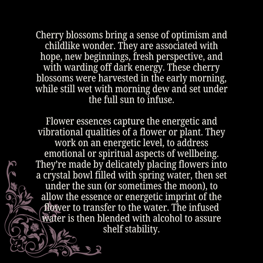 Optimism & Potential - Cherry Blossom Flower Essence