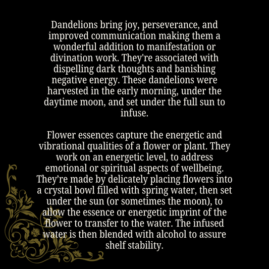 Joy & Perseverance - Dandelion Flower Essence