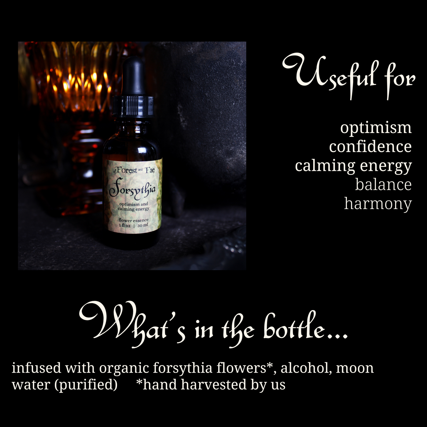 Optimism - Forsythia Flower Essence