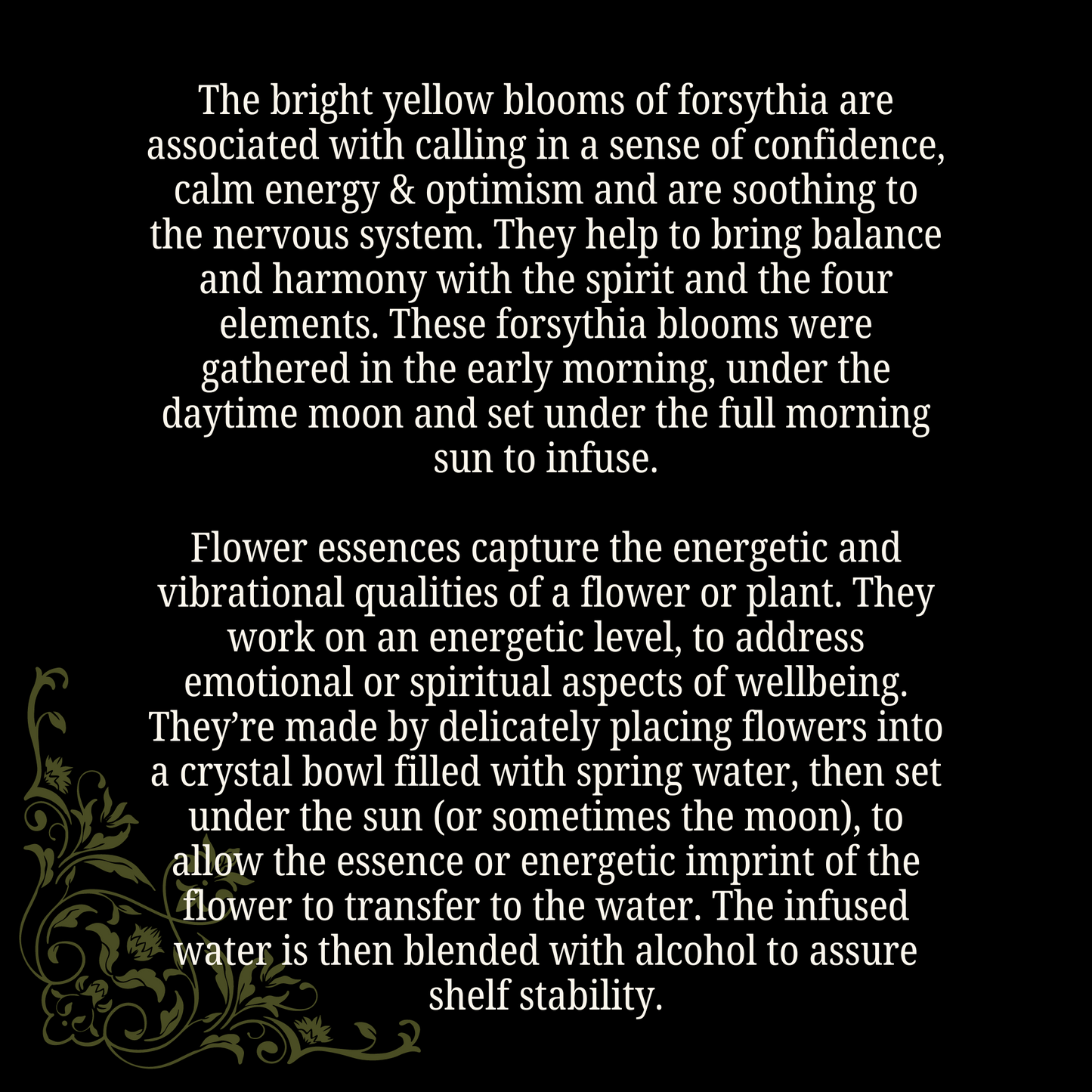 Optimism - Forsythia Flower Essence