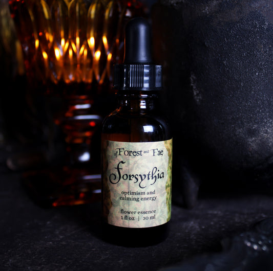 Optimism - Forsythia Flower Essence