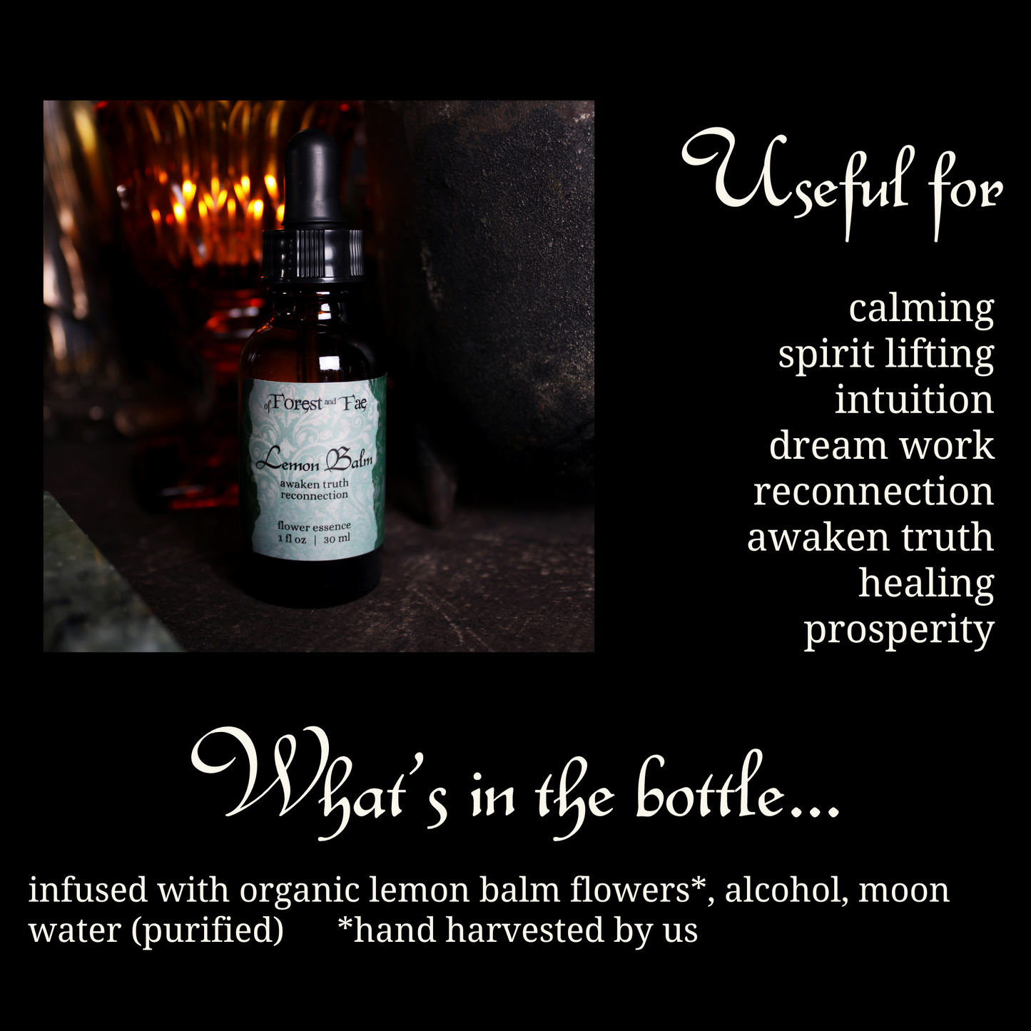 Reconnection - Lemon Balm Flower Essence