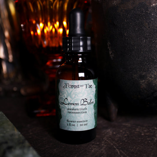 Reconnection - Lemon Balm Flower Essence