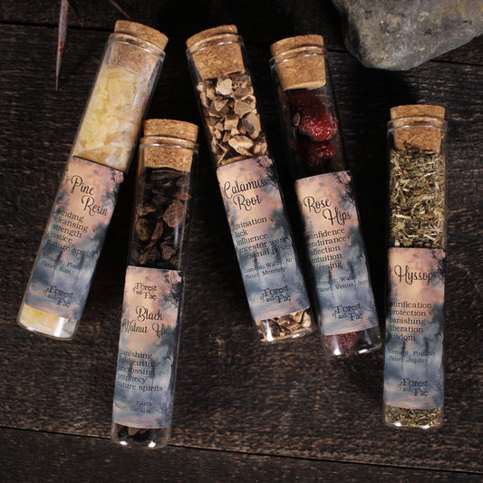 Mountain Conjure Herb Set