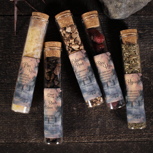 Mountain Conjure Herb Set
