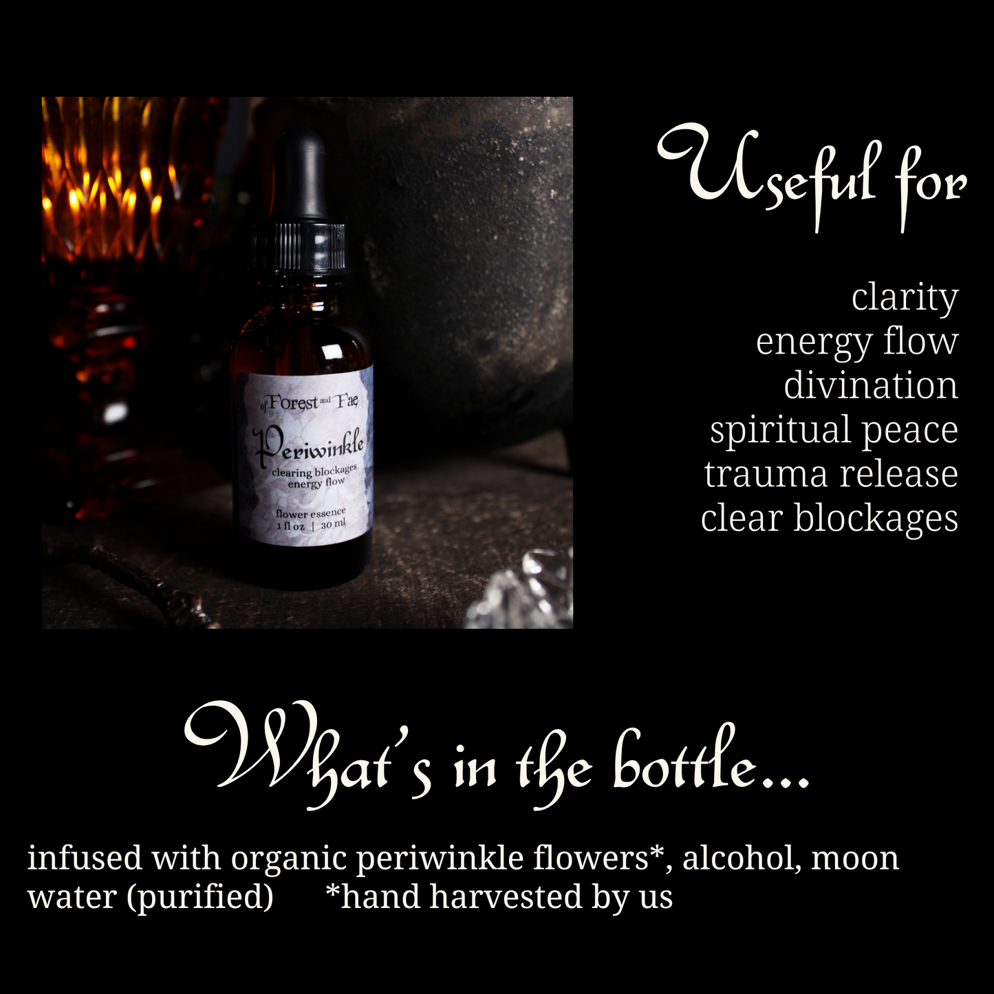 Energy Flow - Periwinkle Flower Essence