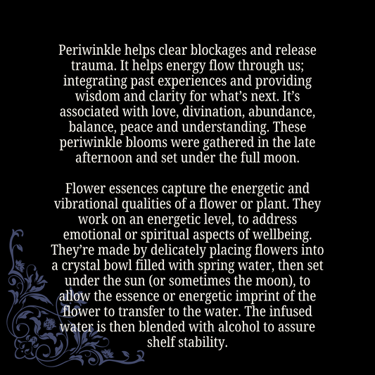 Energy Flow - Periwinkle Flower Essence