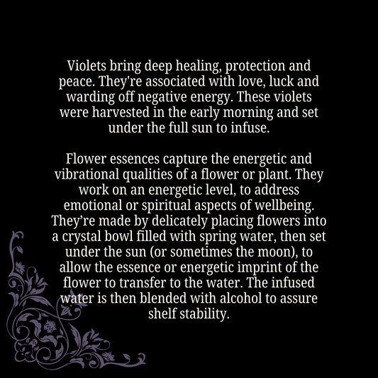 Protection & Peace - Violet Flower Essence