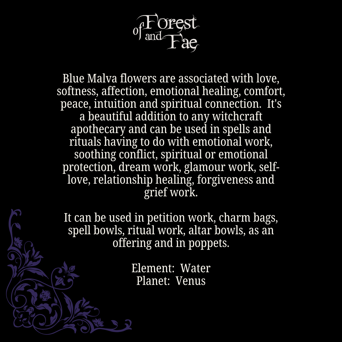 Blue Malva Flower • Peace, Intuition