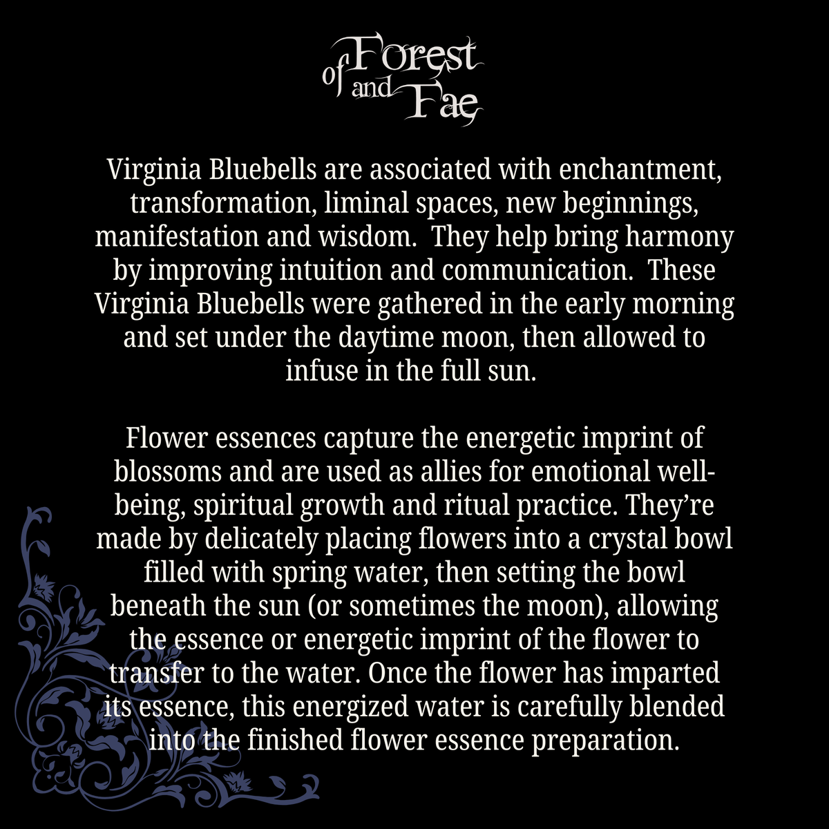 Manifestation • Bluebell Flower Essence