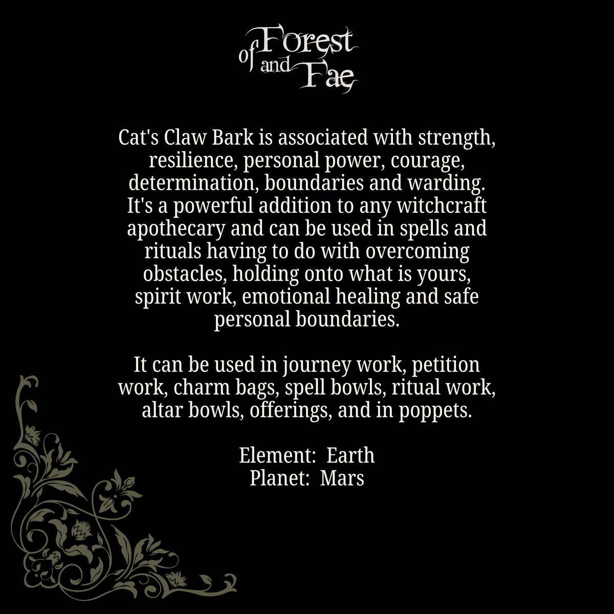 Cat's Claw Bark • Spirit Work, Strength