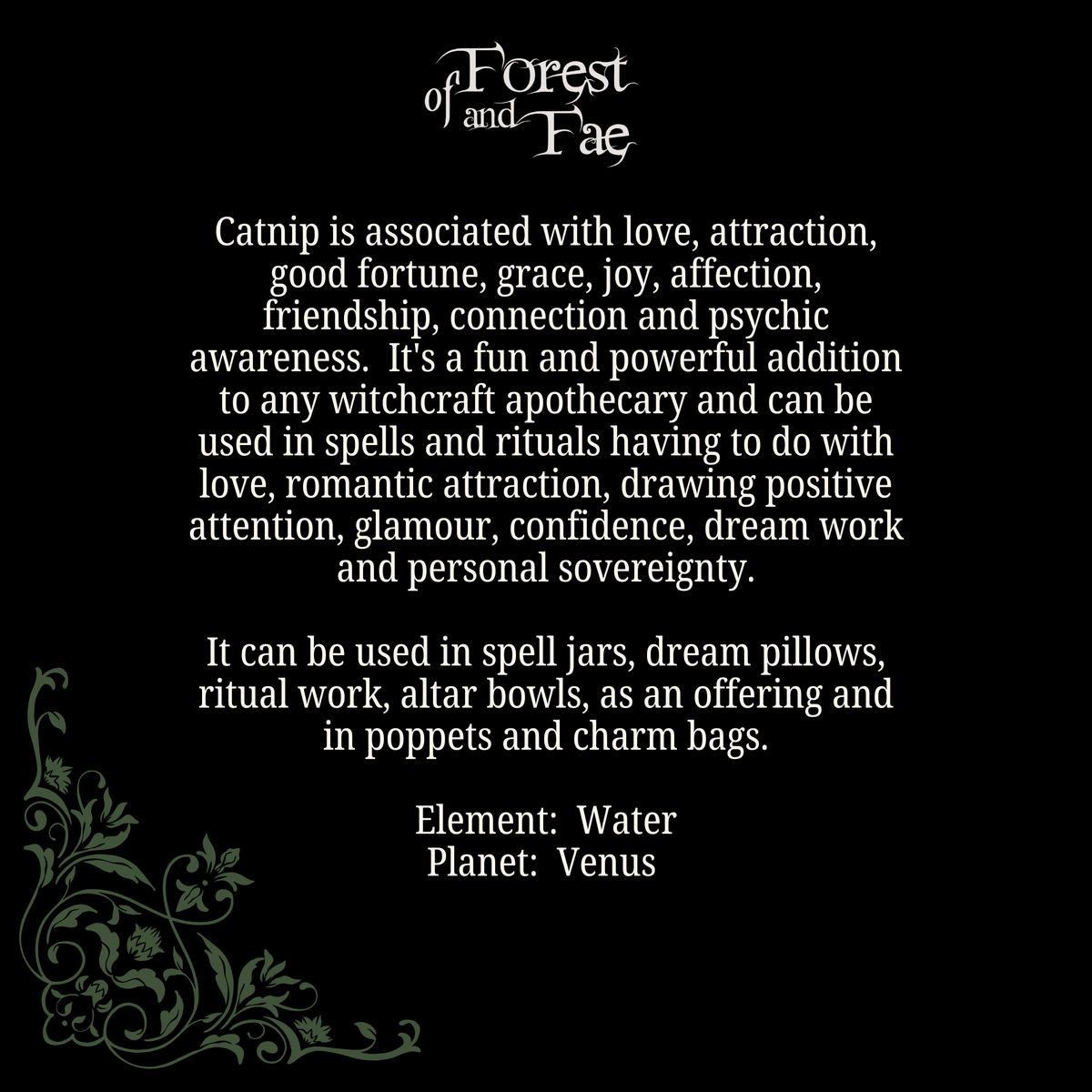 Catnip Leaf • Love, Luck, Attraction