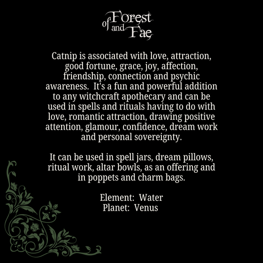 Catnip Leaf • Love, Luck, Attraction