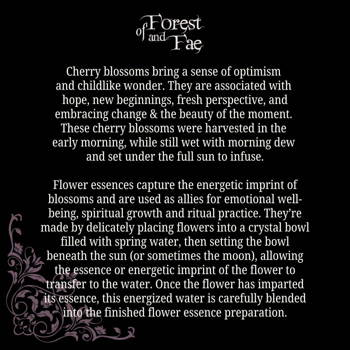 Optimism & Potential • Cherry Blossom Flower Essence