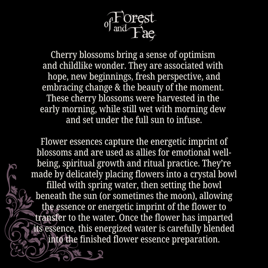 Optimism & Potential • Cherry Blossom Flower Essence
