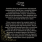 Joy & Perseverance • Dandelion Flower Essence