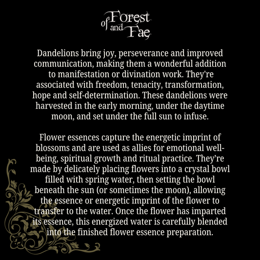 Joy & Perseverance • Dandelion Flower Essence