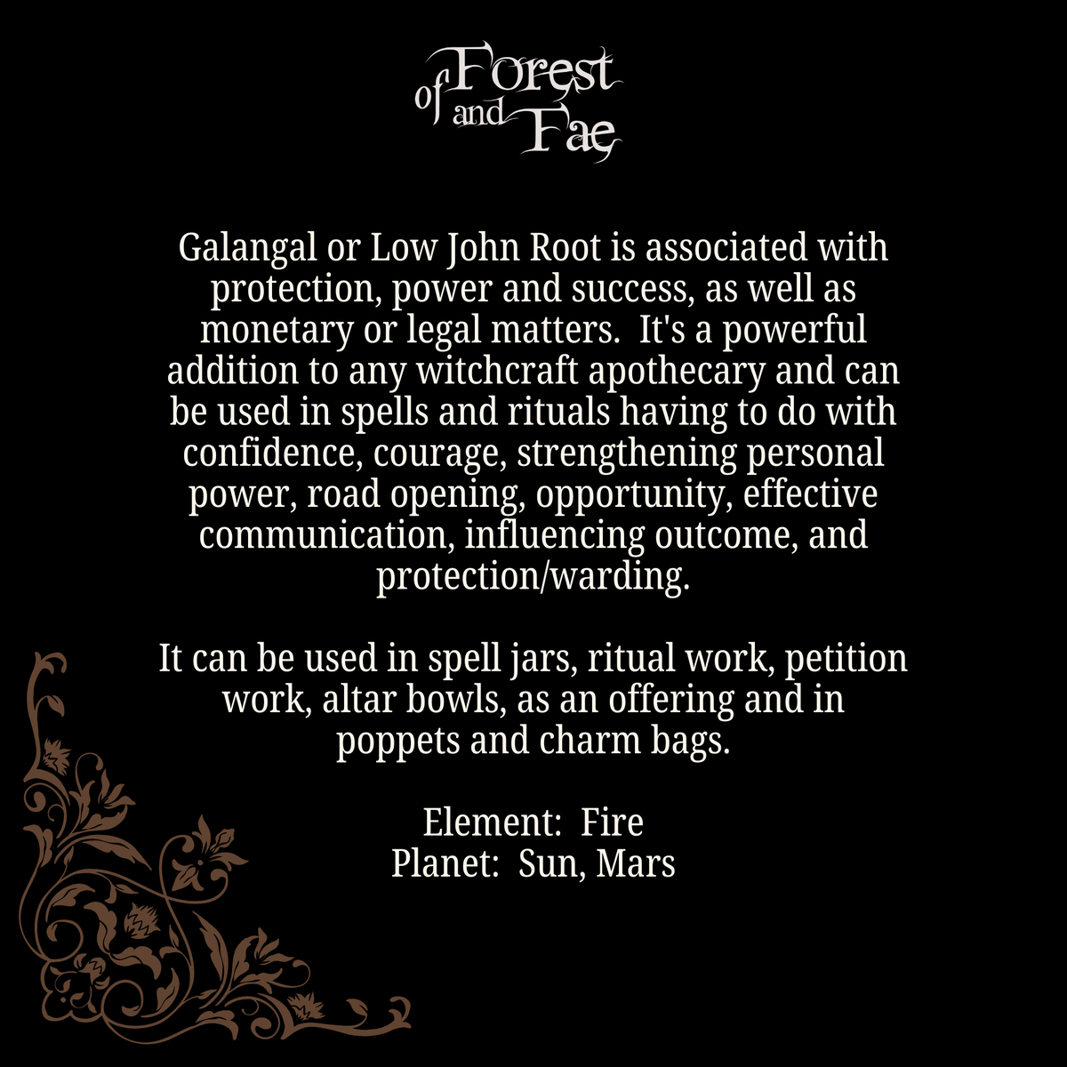 Galangal Root - Low John Root • Protection Prosperity