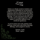 Kudzu Root • Persistence, Abundance