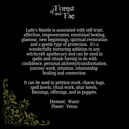 Lady's Mantle • Love, Transformation