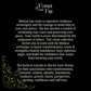 Medusa • Ritual Kit