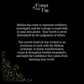 Medusa • Sacred Ritual Oil