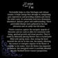 Energy Flow • Periwinkle Flower Essence