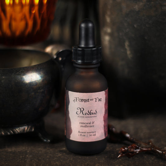 Resilience • Redbud Flower Essence