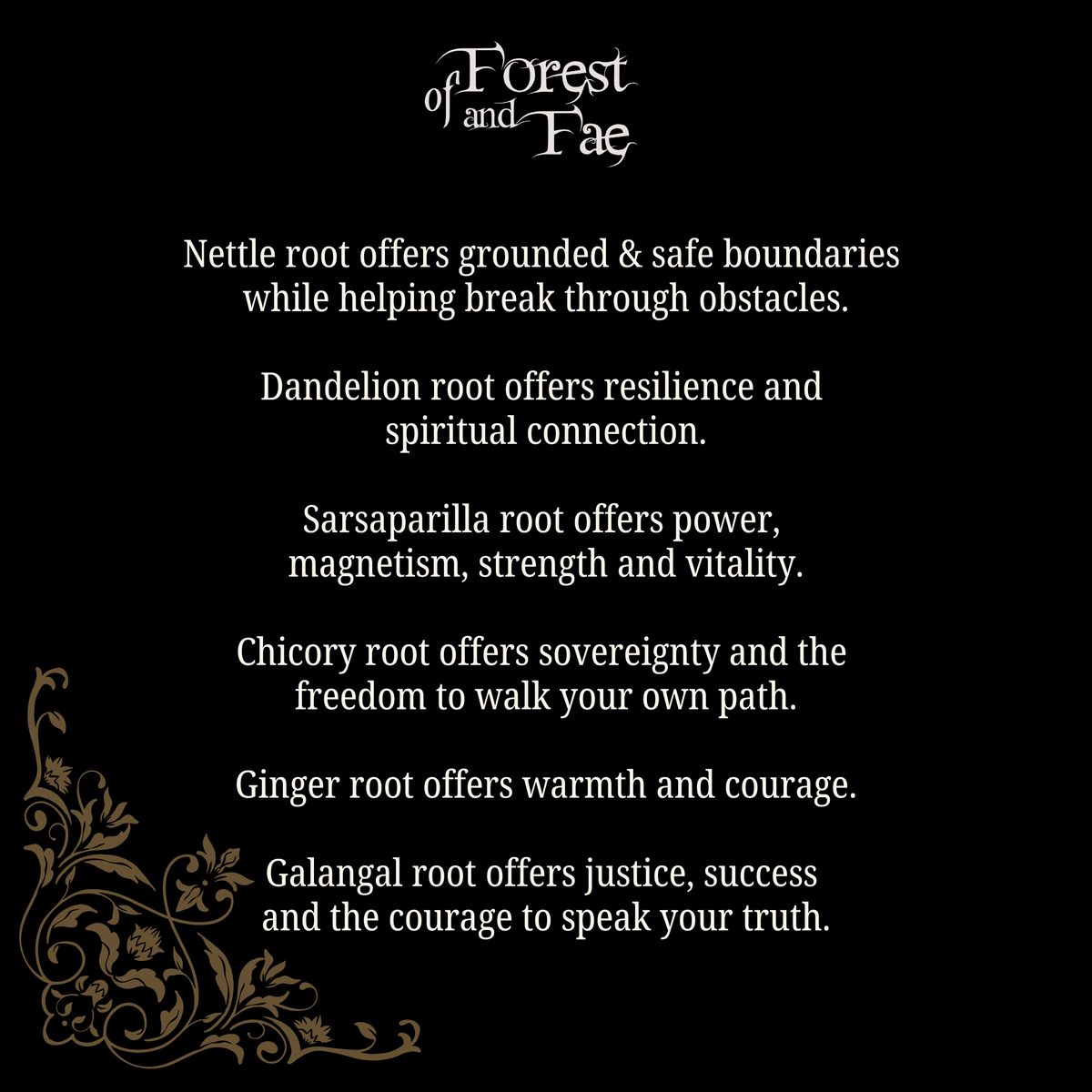 Rooted Elixir