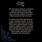 The Oracle • Anointing Oil