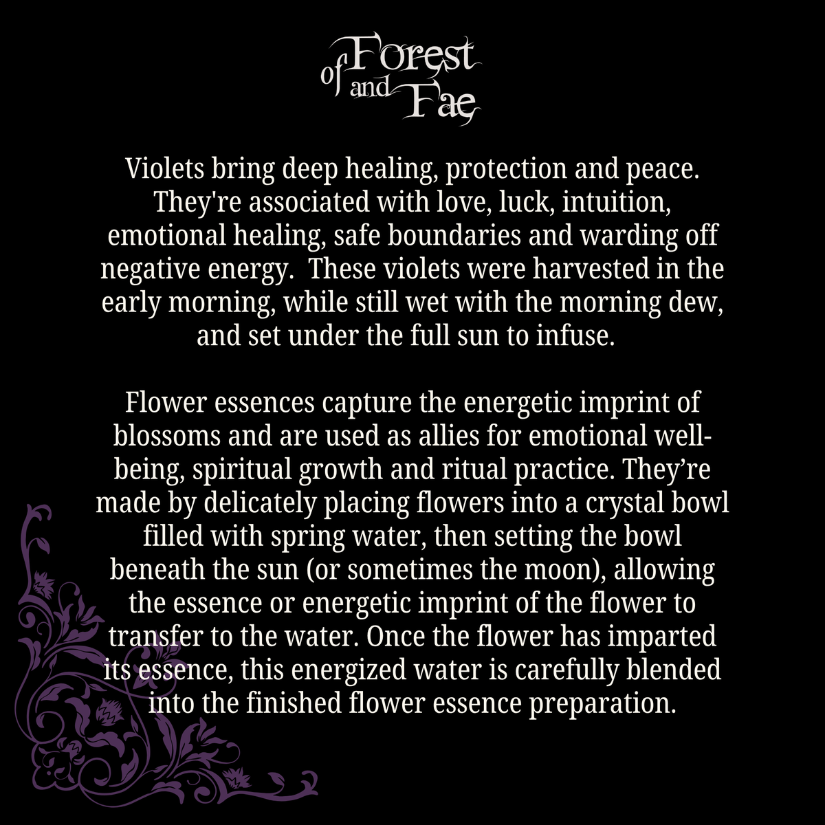 Protection & Peace - Violet Flower Essence
