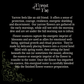 Protection - Yarrow Flower Essence