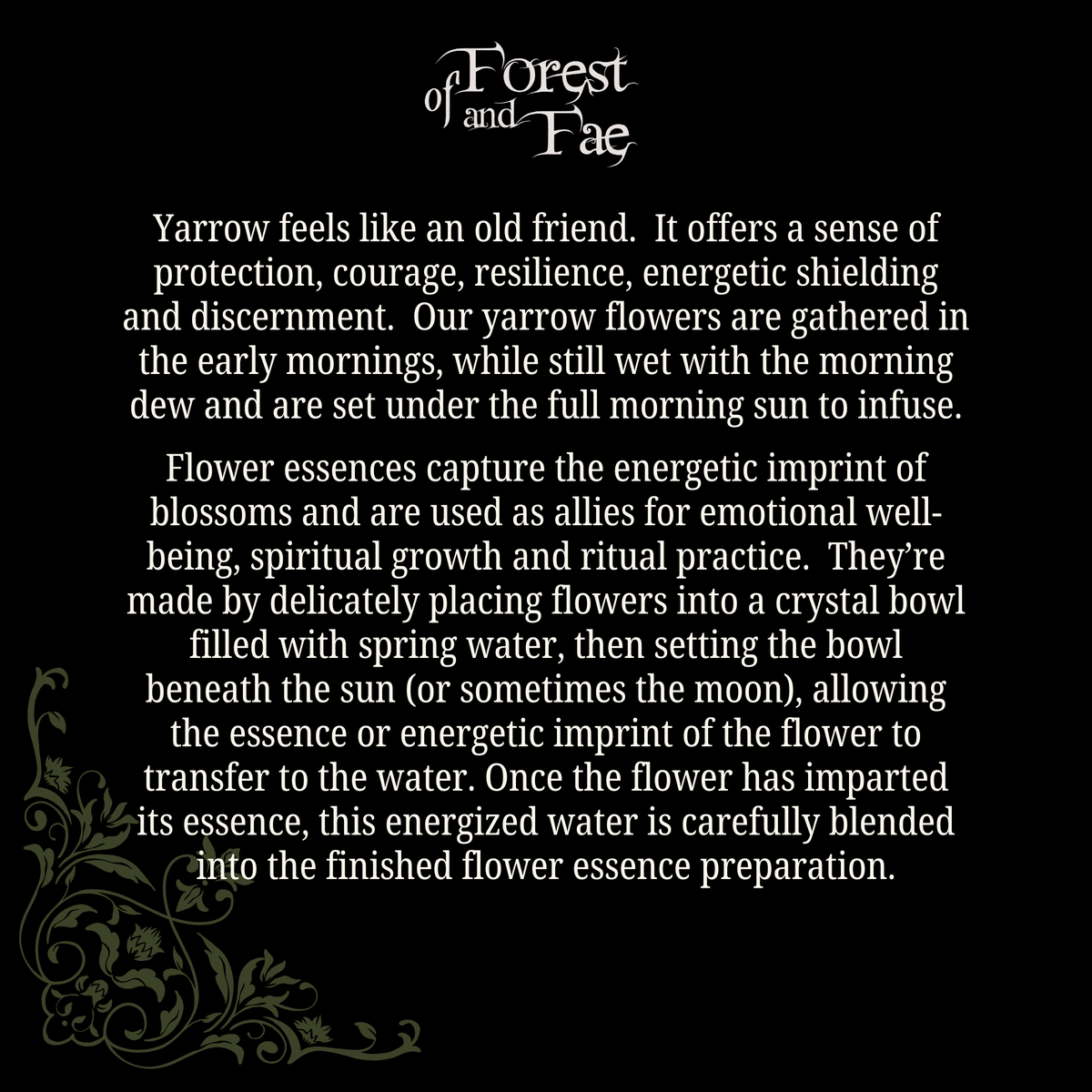 Protection - Yarrow Flower Essence