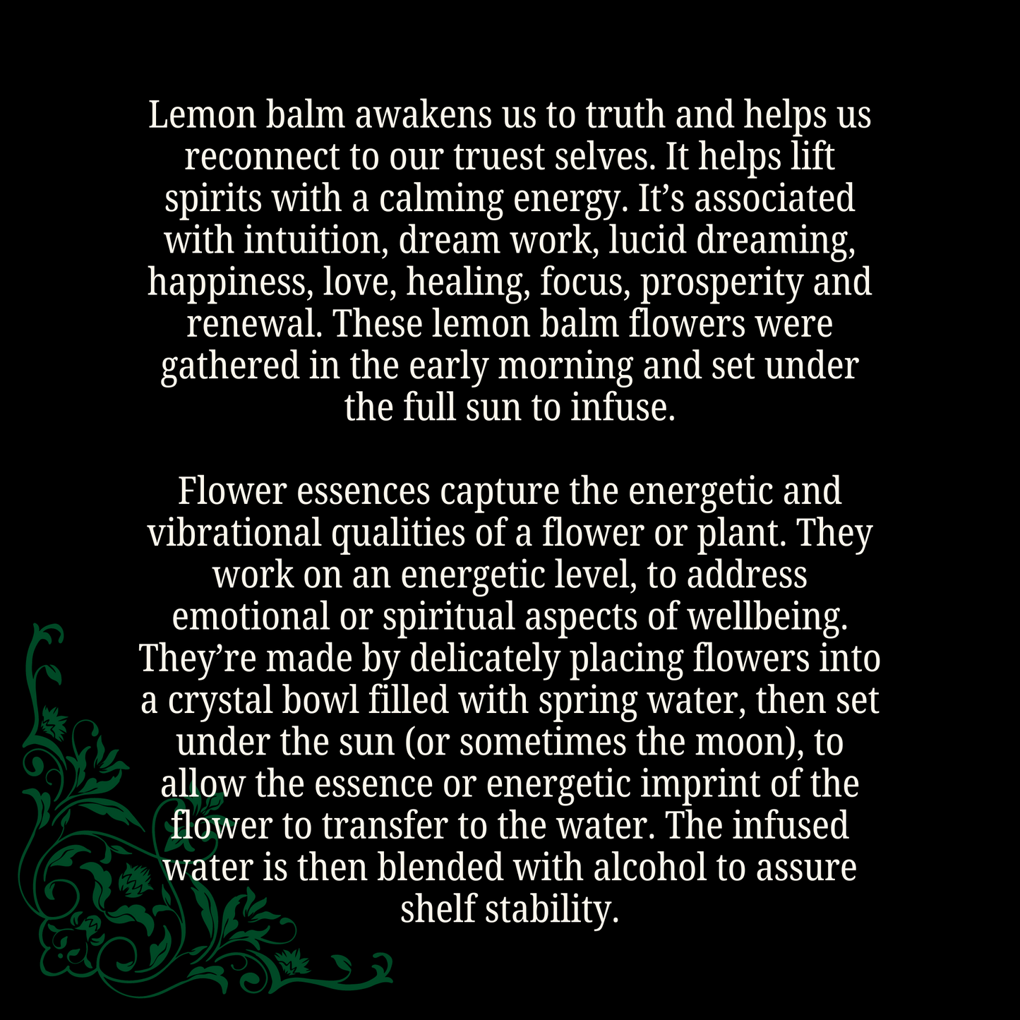 Reconnection - Lemon Balm Flower Essence