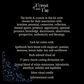 The Oracle • Charm Casting Divination Set