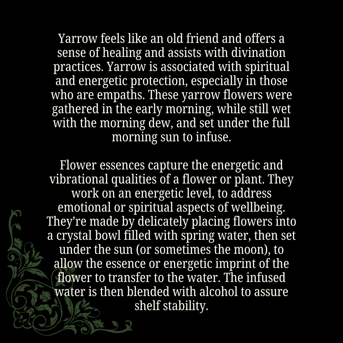 Protection - Yarrow Flower Essence
